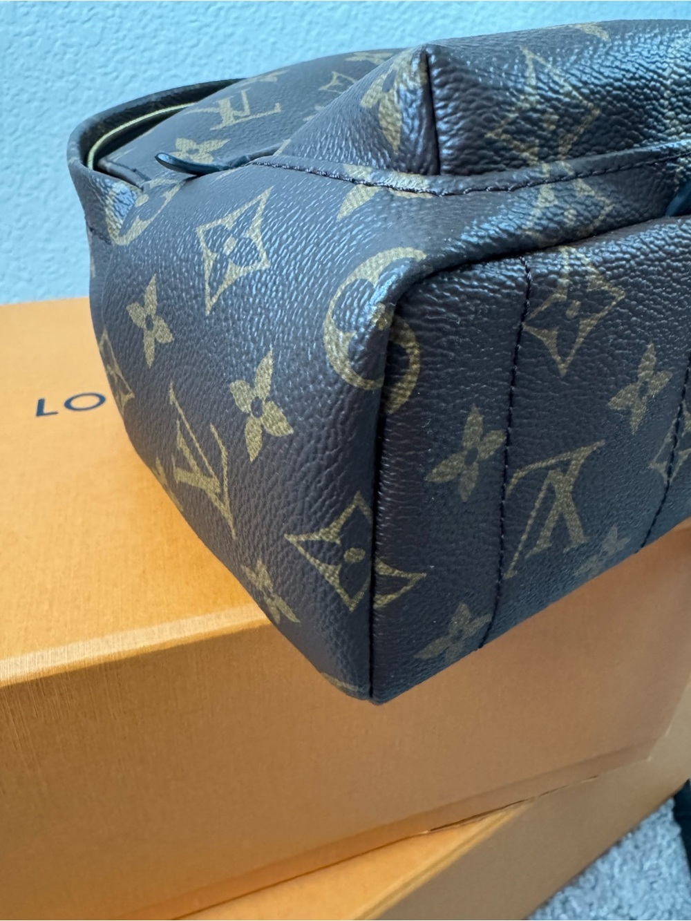 Louis Vuitton Palm Springs mini Backpack - Picture 6 of 12